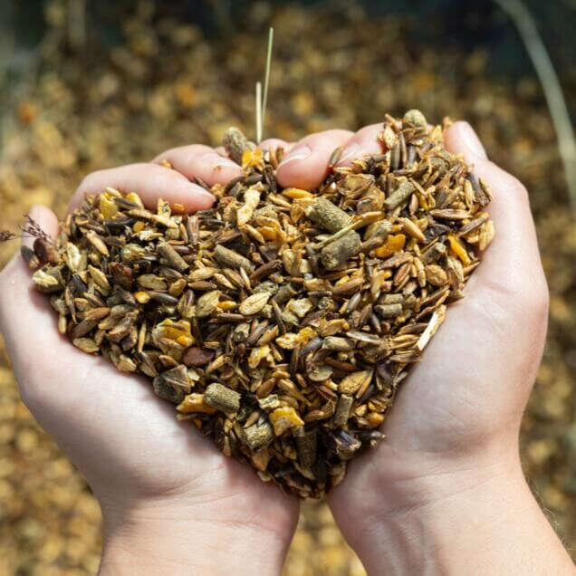 teaser pferdewelt pferdefutter